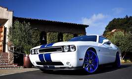2010 Dodge Challenger