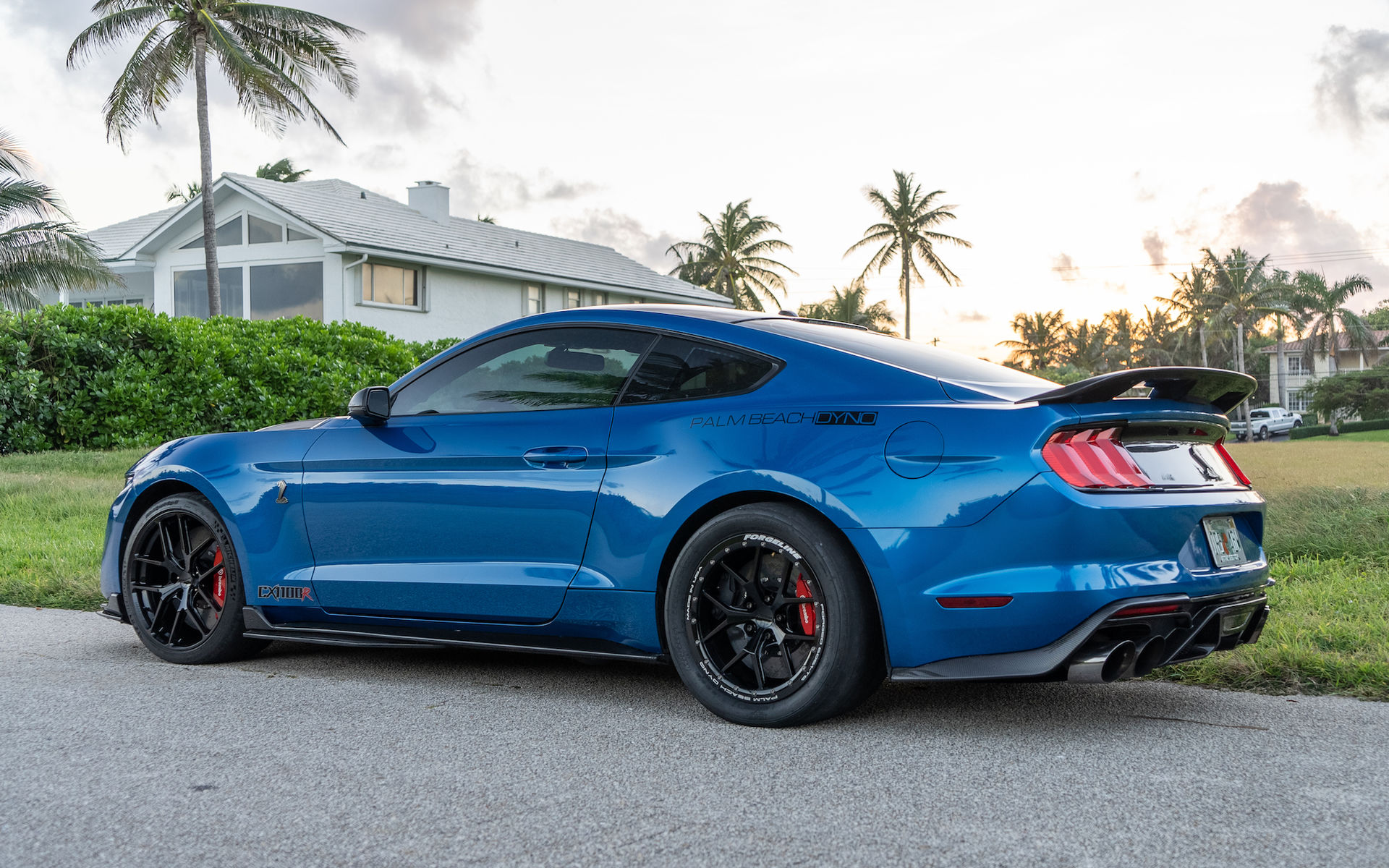 2021 Ford Mustang | Palm Beach Dyno's CX1100R Ford Mustang Shelby GT500 on Forgeline Forged Monoblock VX1R Beadlock Wheels