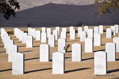 Grave site