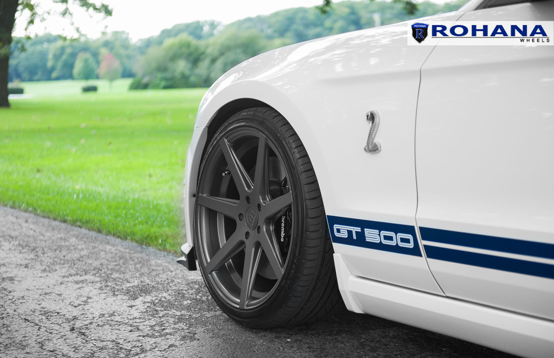  Ford Shelby GT500 | Ford Mustang GT500