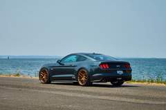 H&R 2015 Mustang GT Premium Fastback