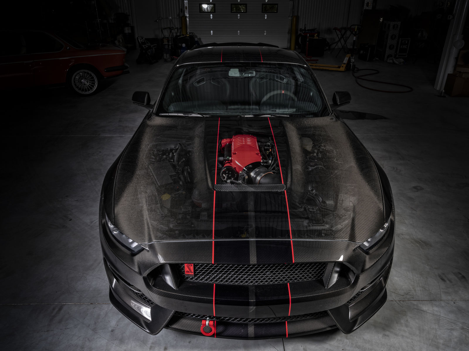 2019 Ford GT350R | 2019 Shelby GT350R Carbon Fiber Edition by Speedkore - Whipple FordSEMA