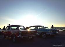 Mustangs