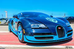 goldRush Rally 7