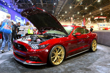 2015 Ford Mustang | 2015 Mustang  by Mad Industries 