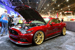 2015 Mustang  by Mad Industries 