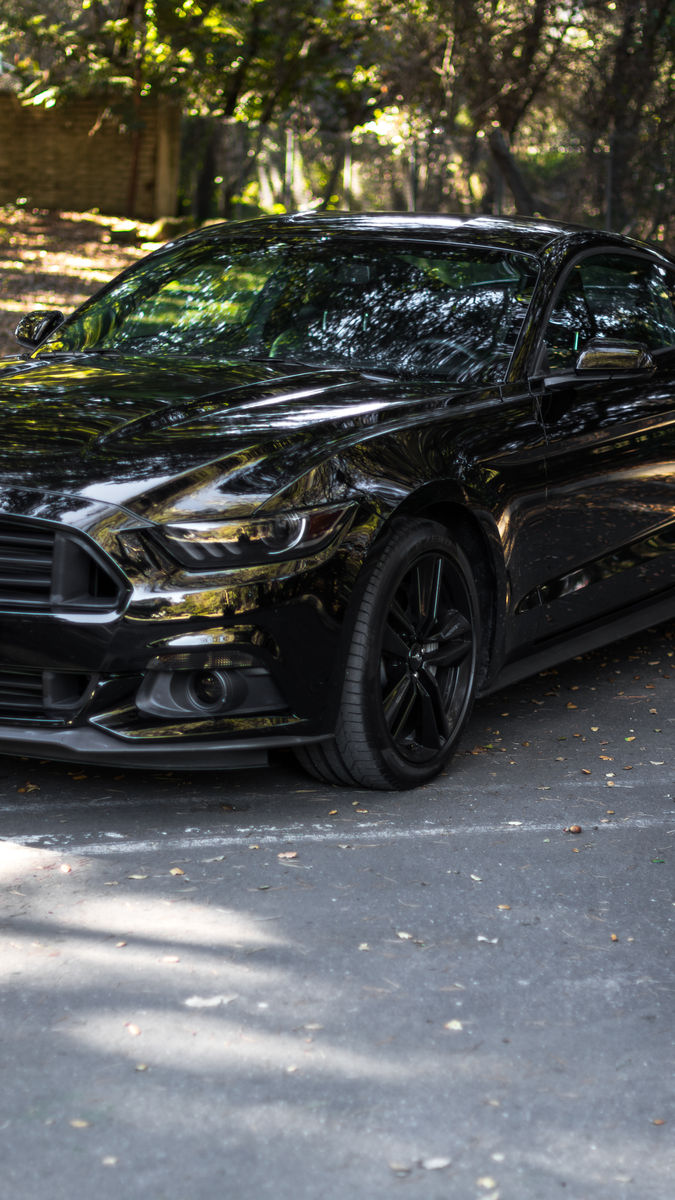    | Murdered Ecoboost
