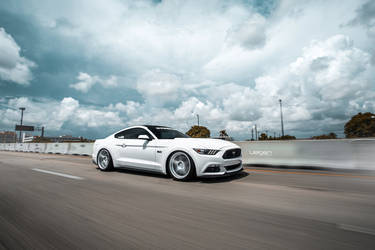 2016 Ford Mustang | White Mustang GT | Classic5 Matte Silver