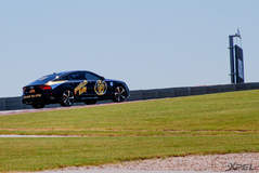goldRush Rally 7