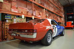 American Muscle 