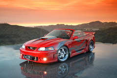 '01 Ford Mustang Cobra Convertible
