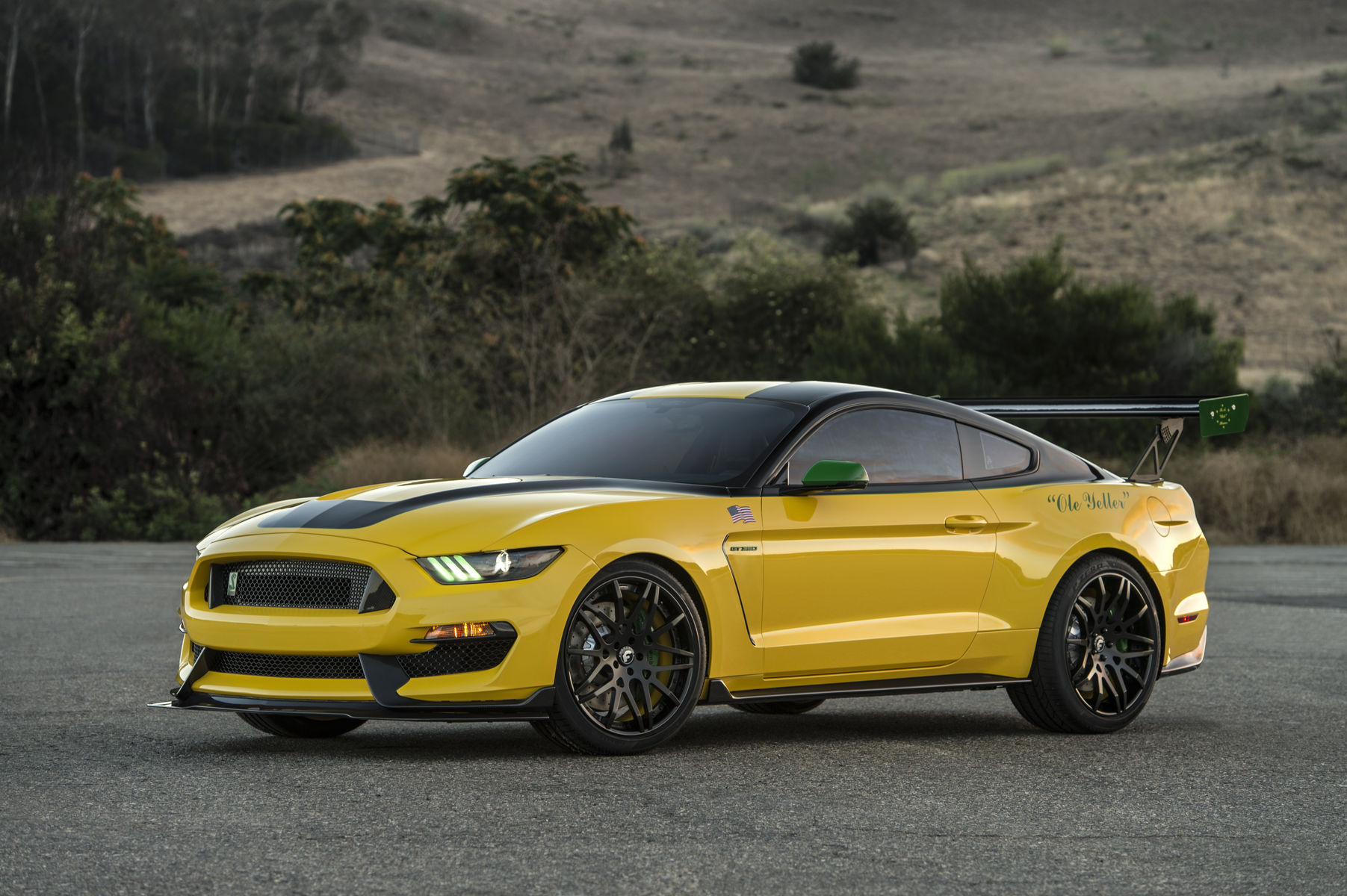 2017 Ford GT350 |