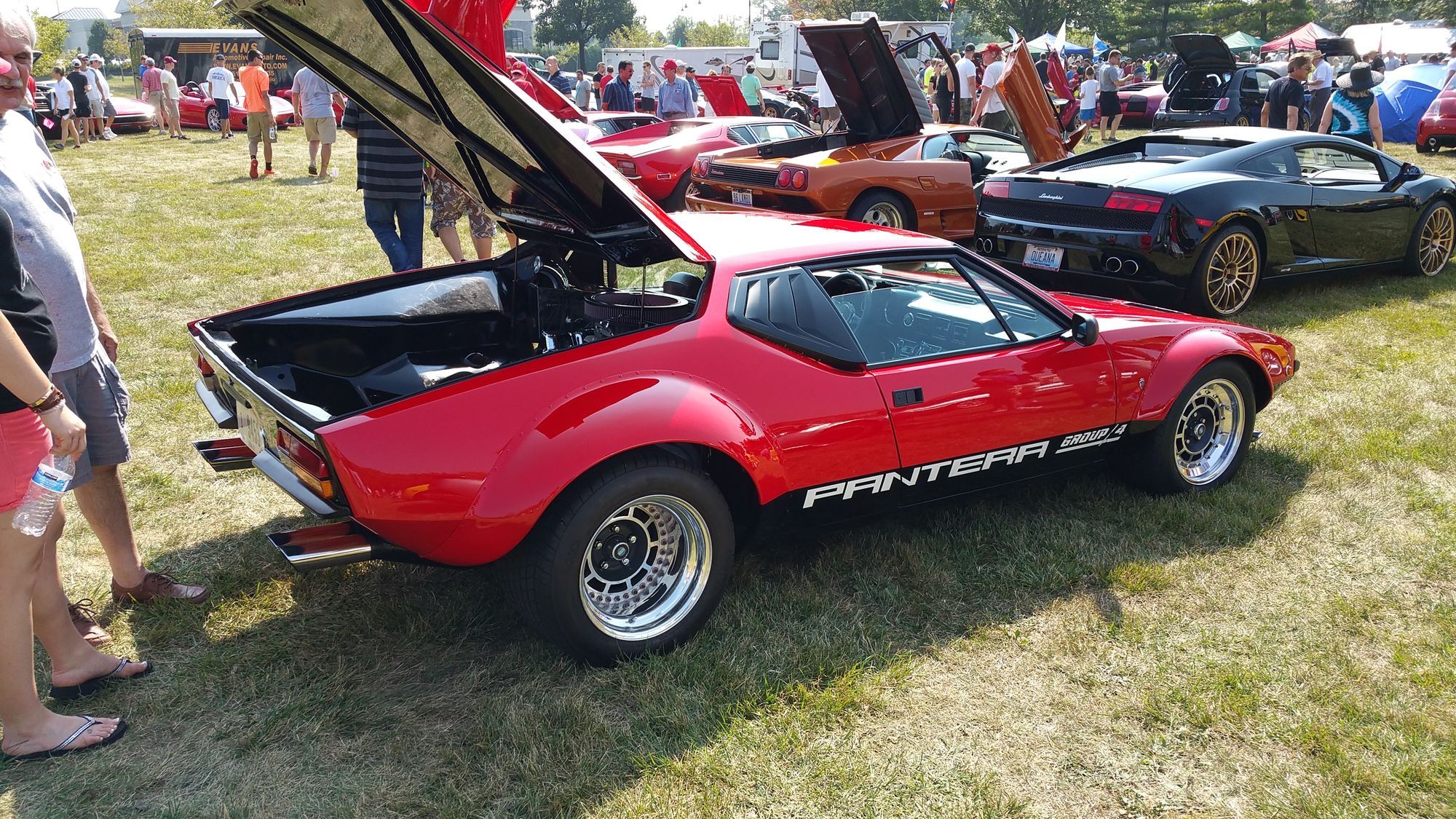    | Pantera