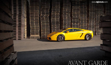 Lamborghini Gallardo