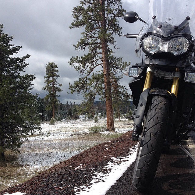 | Rigid Industries D-Series on a motorcycle