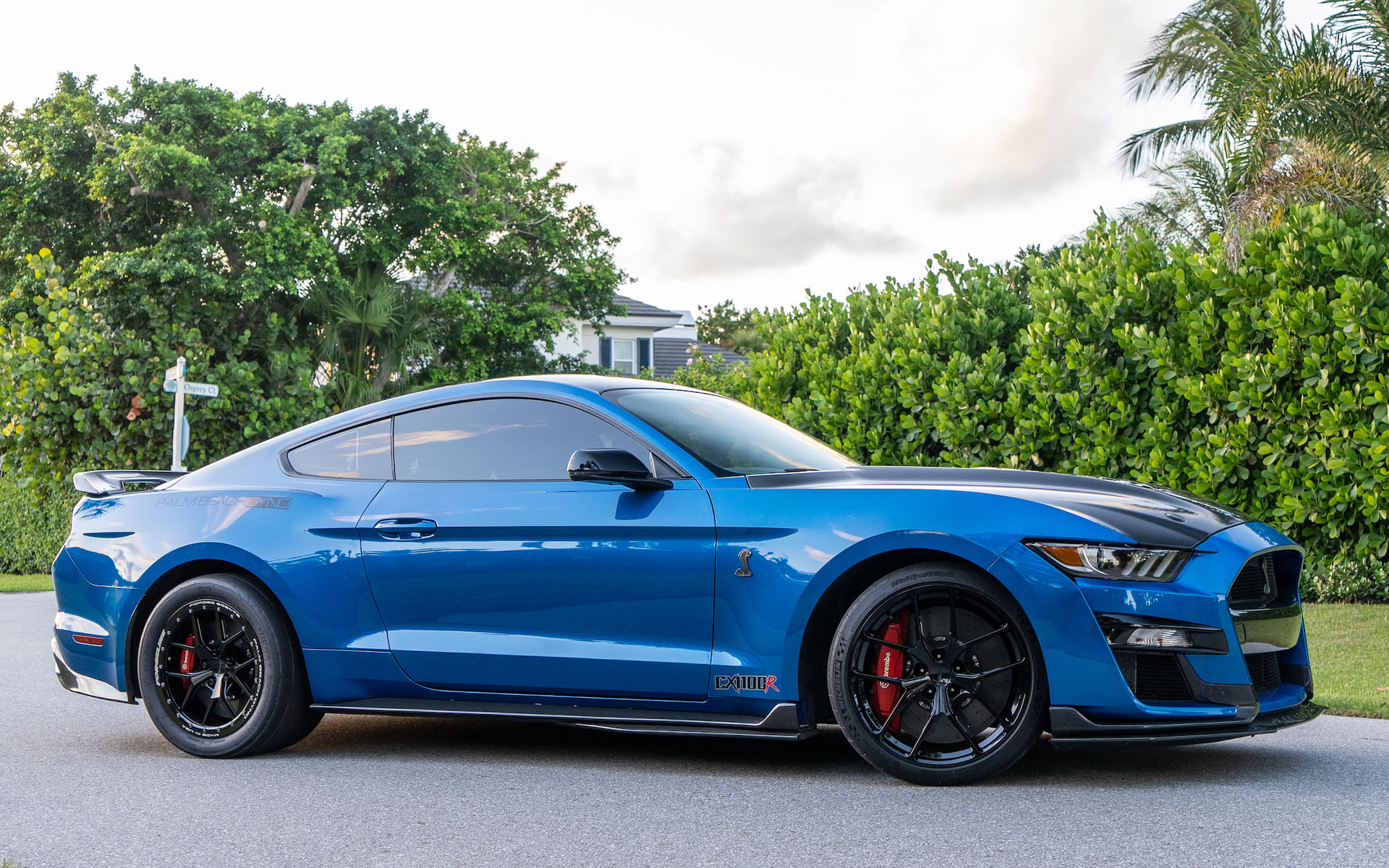 Palm Beach Dyno's CX1100R Ford Mustang Shelby GT500 on Forgeline Forged ...