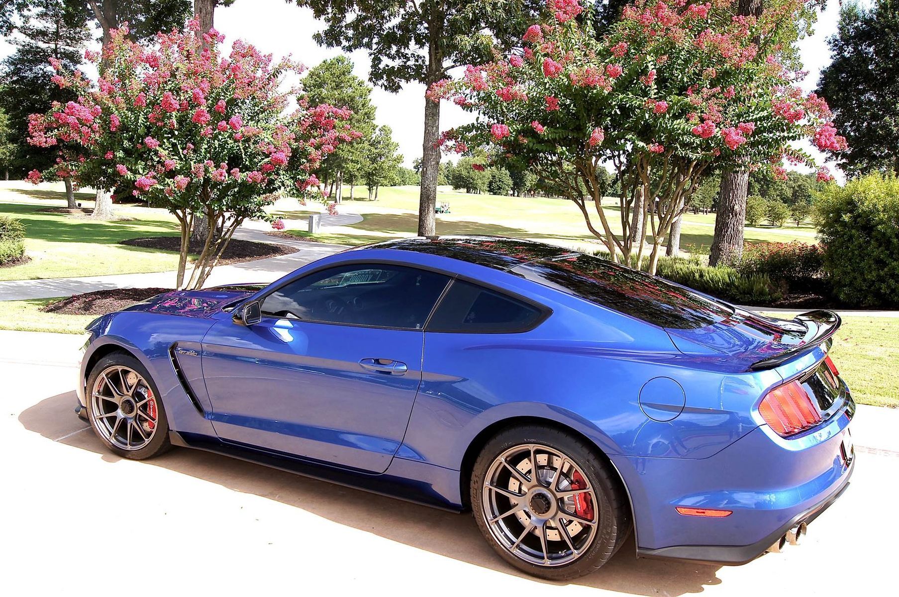 2016 Ford Mustang | Chris Sommers' S550 Ford Mustang GT 350 on Center Locking Forgeline GA1R Wheels and Flush Loc Conversion - Side Angled Shot