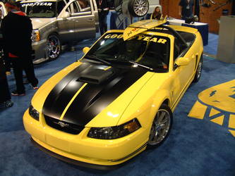 2004 Ford Mustang SVT Cobra | MRT Surfchaser