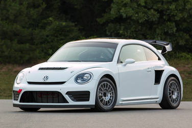 2015 Volkswagen Beetle | '15 VW Beetle GRC Rally Car