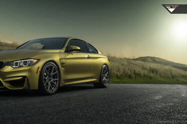 2013 BMW 8 Series | BMW  F82 M4