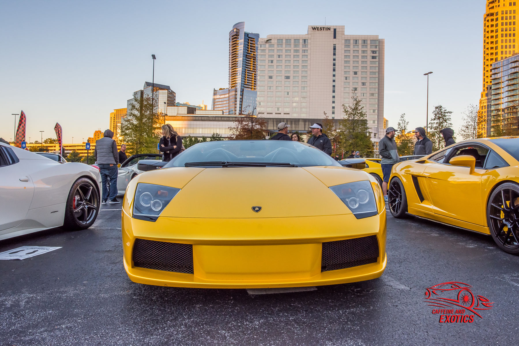  Lamborghini Murcielago | Yellow Lamborghini Murcielago