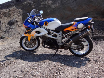 1997 Suzuki TL1000SK | GA Suzuki TL1000s 2