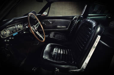 1965 Ford GT350 | 1965 GT350 Barn Find Interior