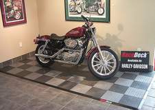 Harley on Deck