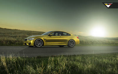 2013 BMW 8 Series | BMW  F82 M4