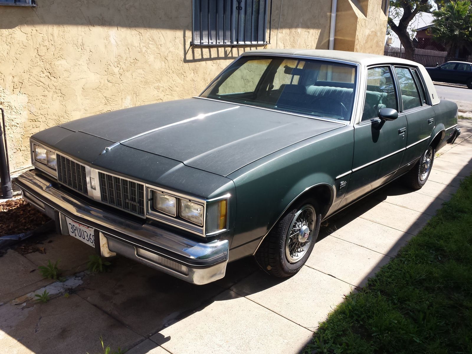 1981 Oldsmobile Cutlass | The Olds