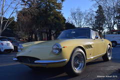 Ferrari 275 GTS Ready to Rally