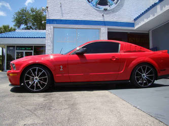 2010 Ford Mustang SVT Cobra | Ford Mustang Cobra