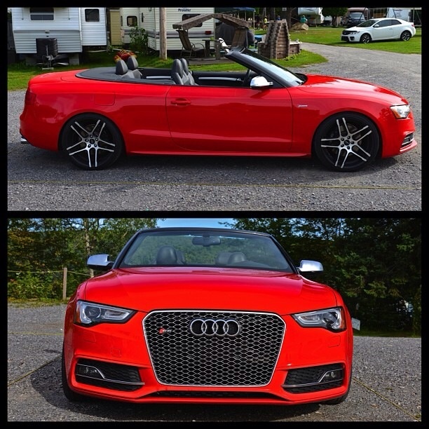 2009 Audi S5 | Audi S5 on Ruff R954's