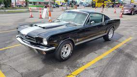 Mustang