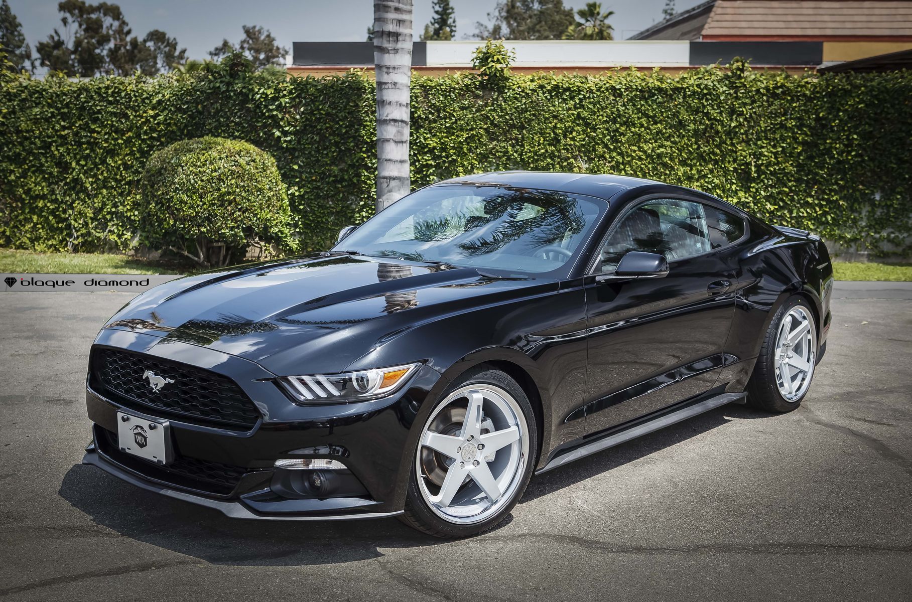 2016 Ford Mustang 2016 Ford Mustang Ecoboost Fitted With 20 Inch BD-21’s in...