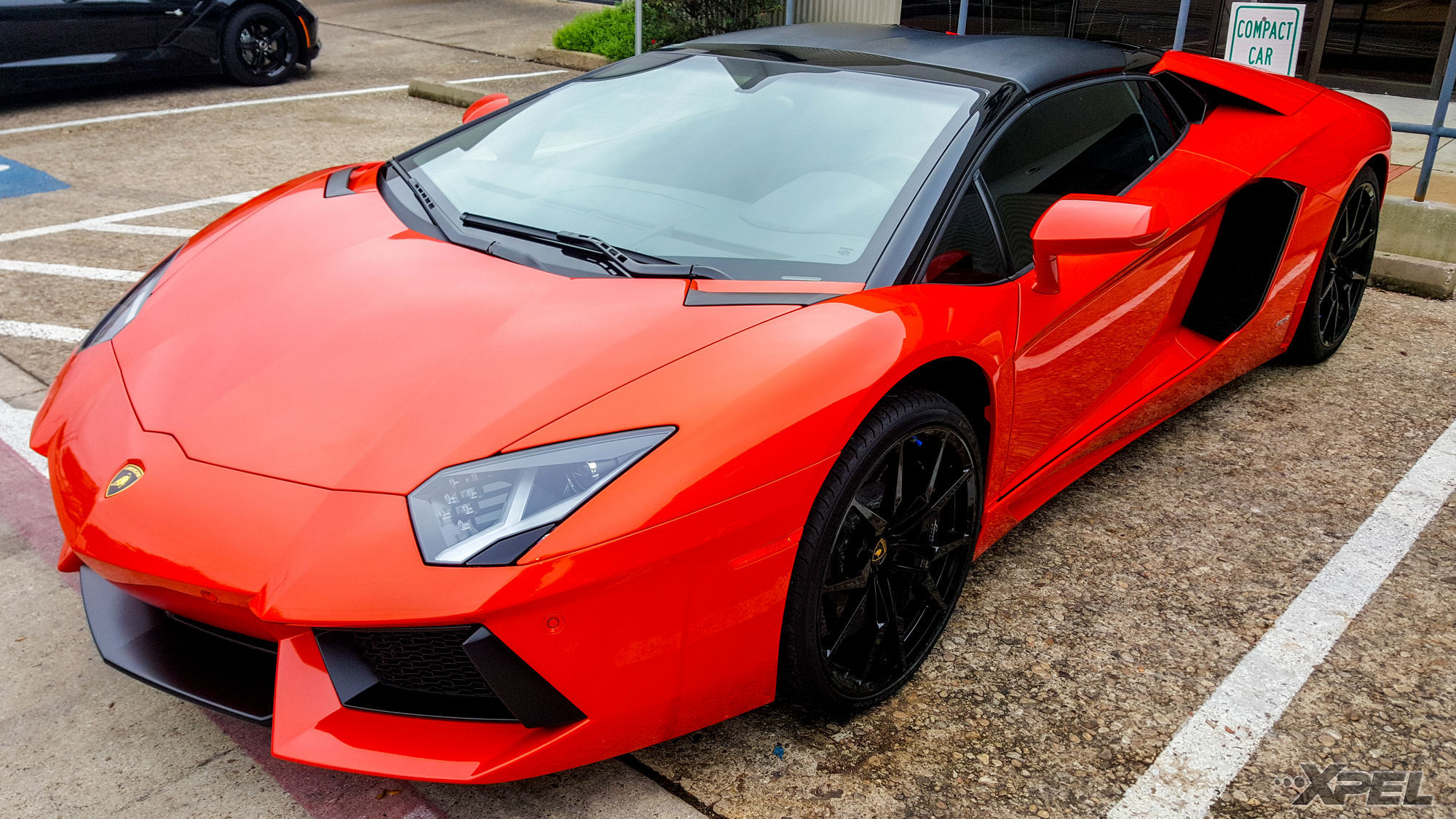 Lamborghini Aventador | Lamborghini Aventador protected with XPEL ULTIMATE