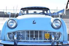 1959 TR3