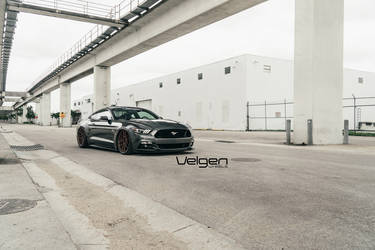 2015 Ford Mustang | Bagged S550 on Satin Bronze Velgen Wheels 